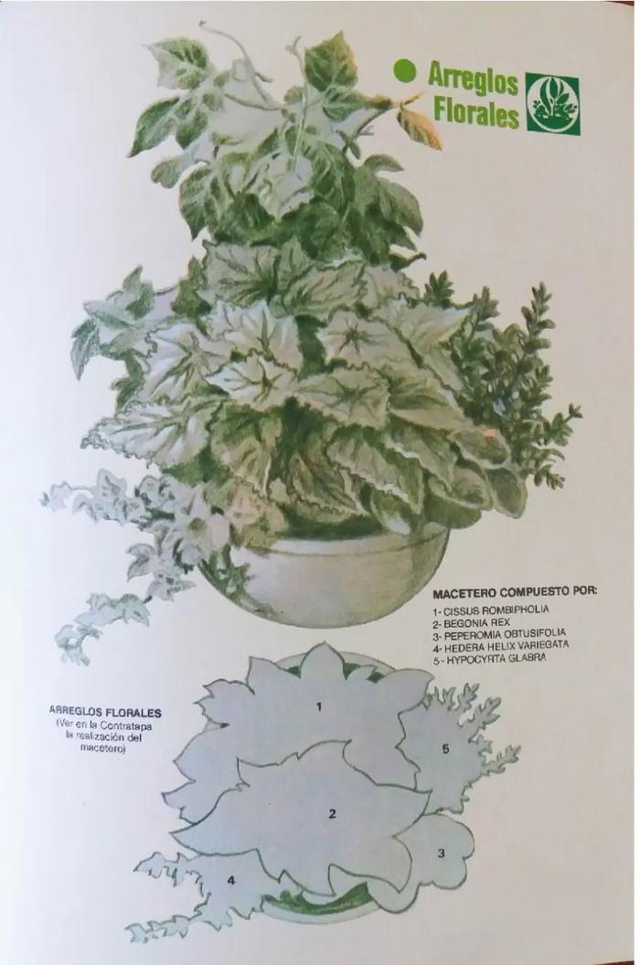 Enciclopedia argentina de plantas y flores_15