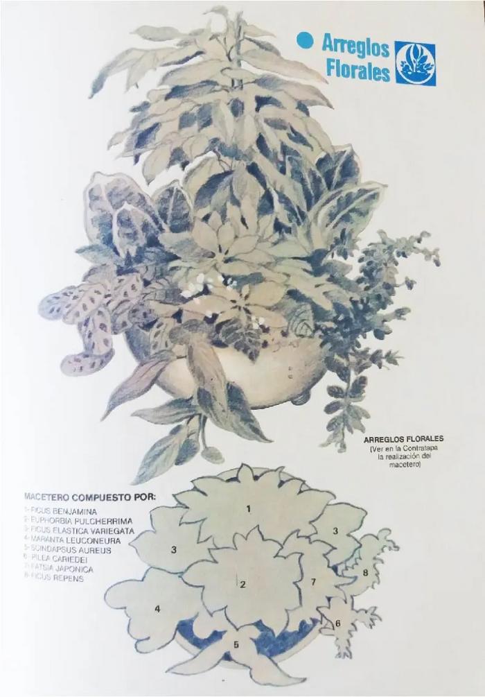 Enciclopedia argentina de plantas y flores_9