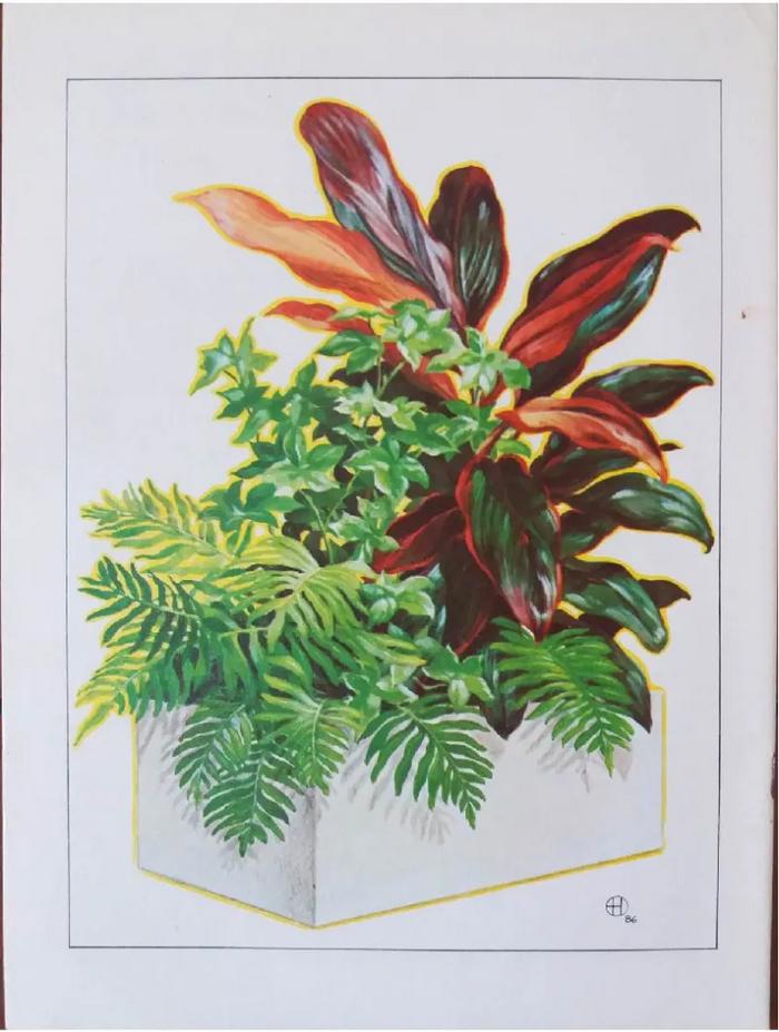 Enciclopedia argentina de plantas y flores_3