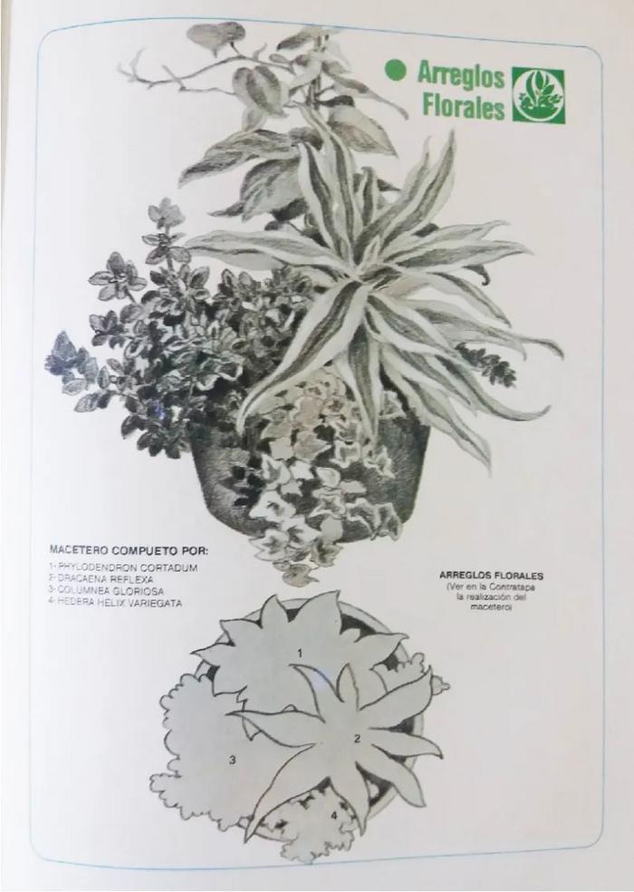 Enciclopedia argentina de plantas y flores_7