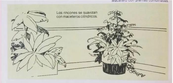 Enciclopedia argentina de plantas y flores_14