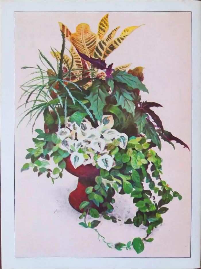 Enciclopedia argentina de plantas y flores_12