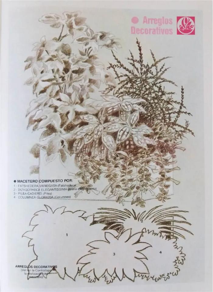 Enciclopedia argentina de plantas y flores_13