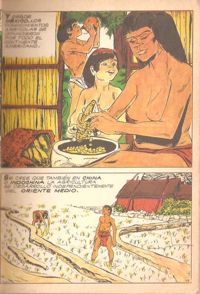 Historia de la humanidad - 13