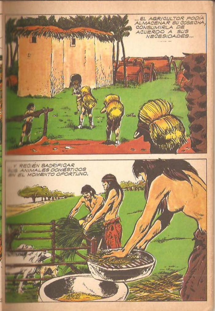 Historia de la humanidad - 17