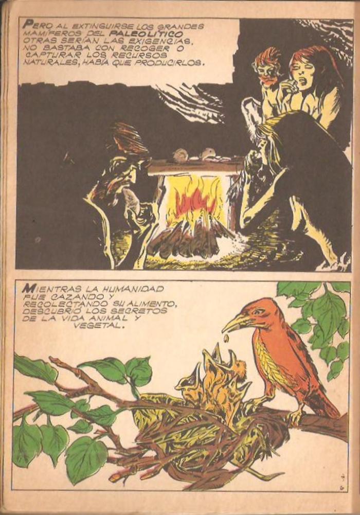 Historia de la humanidad - 16