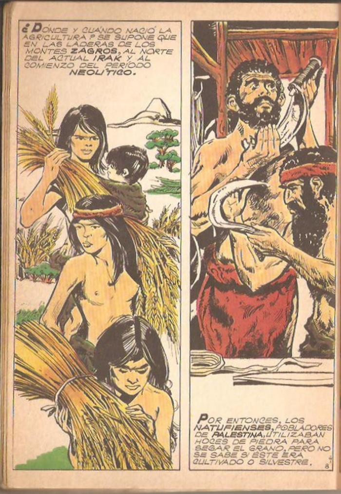 Historia de la humanidad - 7