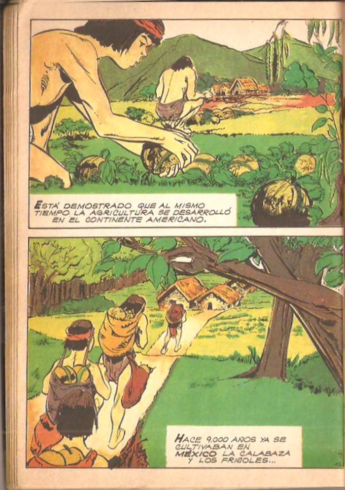 Historia de la humanidad - 12