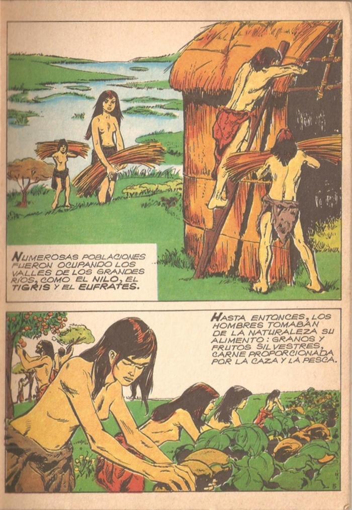 Historia de la humanidad - 5