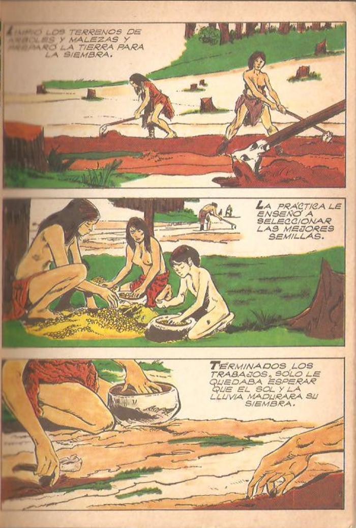 Historia de la humanidad - 15