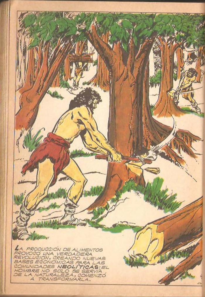 Historia de la humanidad - 14