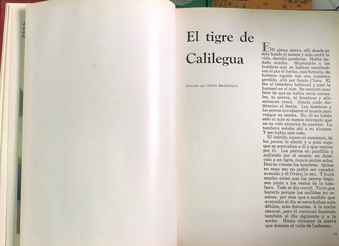 Cuentos para mis hijos: El perro salvador y otros cuentos