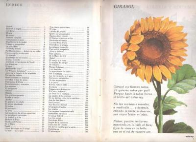 Girasoles: texto de lectura para cuarto grado